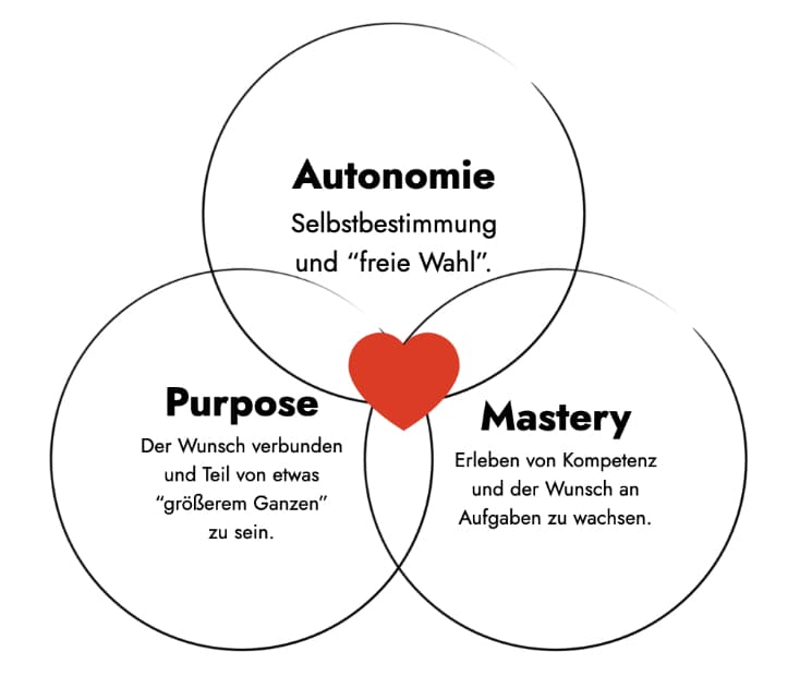Schaubild: Schnittmenge von Autonomie, Purpose und Mastery. Drei Eckpfeiler intrinsischer Motivation nach dem Buch