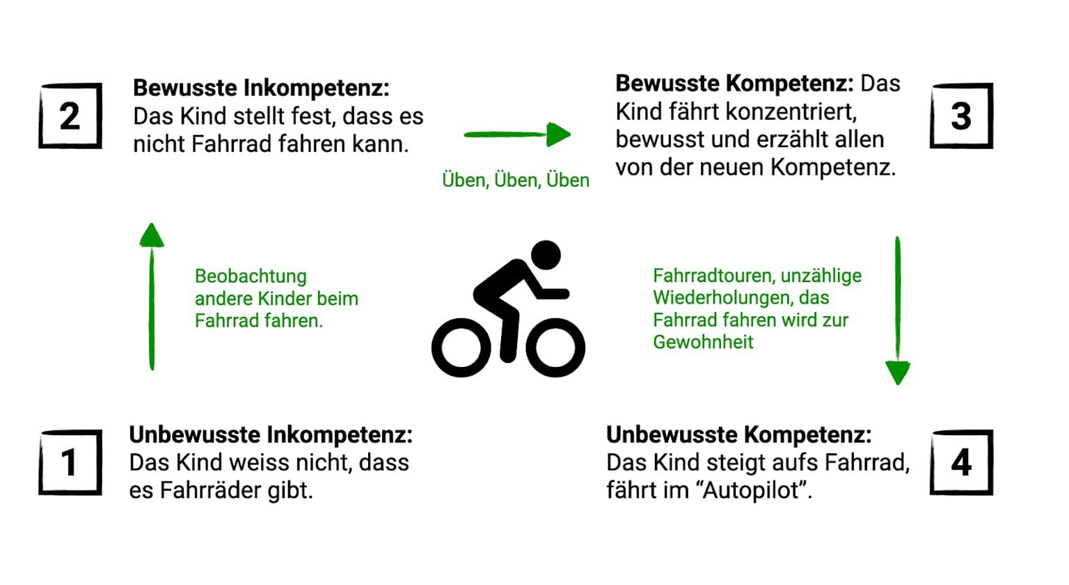 Die vier Stufen des Lernens am Beispiel Fahrrad fahren 