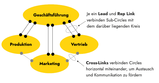 Der prototypische Aufbau einer holokratischen Organisation